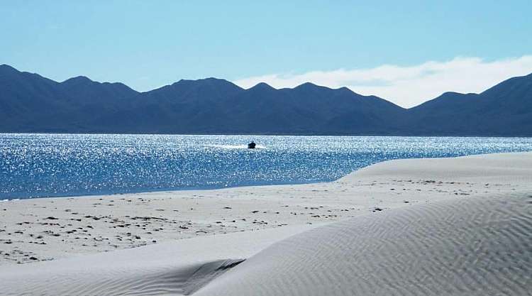 Baja Magdalena